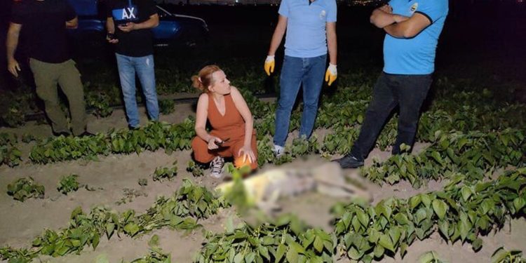 Bursa'da sokak köpeği av tüfeği ile vurularak öldürüldü