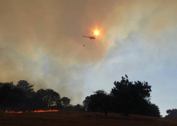 Çanakkale'de orman yangını: Köylüler KYK yurtlarına yerleştirildi