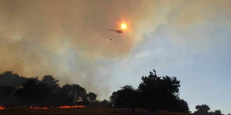 Çanakkale'de orman yangını: Köylüler KYK yurtlarına yerleştirildi