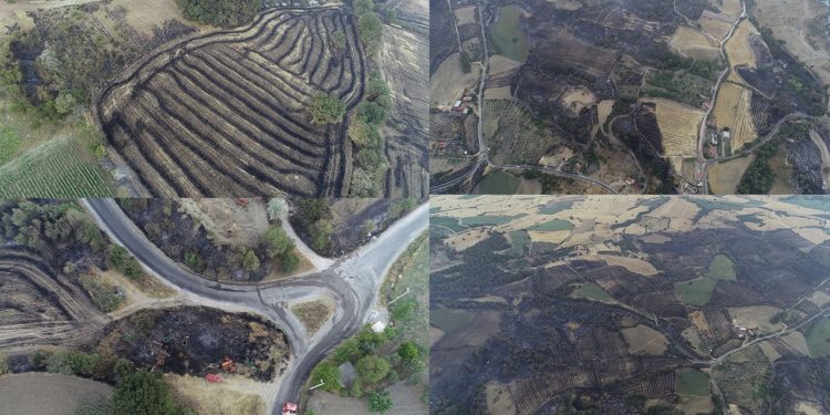 Çanakkale'deki orman yangınına 37 saattir müdahale sürüyor