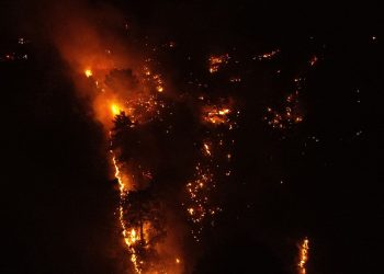 Çanakkale'deki orman yangınına müdahale ediliyor