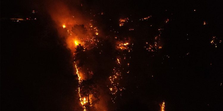 Çanakkale'deki orman yangınına müdahale ediliyor