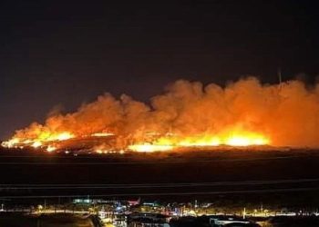 Çeşme'deki orman yangınıyla ilgili bir kişi tutuklandı