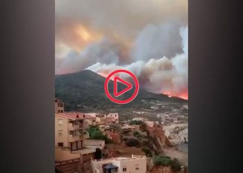 Cezayir’deki orman yangınlarında ölenlerin sayısı 34’e yükseldi