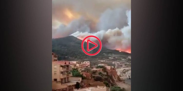 Cezayir’deki orman yangınlarında ölenlerin sayısı 34’e yükseldi