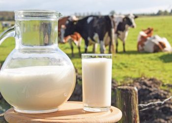 Çiğ sütte zam oyunu: Üreticiye değil, markette fiyat artışı hazırlığı