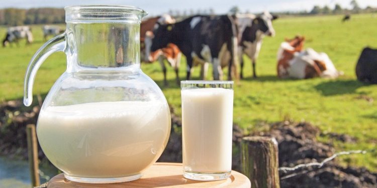 Çiğ sütte zam oyunu: Üreticiye değil, markette fiyat artışı hazırlığı