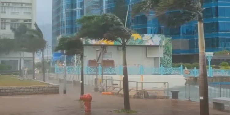 Çin'in güneyini Talim Tayfunu vurdu, 230 bin kişi tahliye edildi