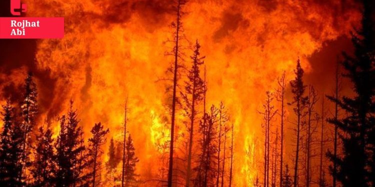 Cudi dört gündür yanıyor, müdahale edilmesine izin verilmiyor: 'Sistematik eko-kırım uygulanıyor'