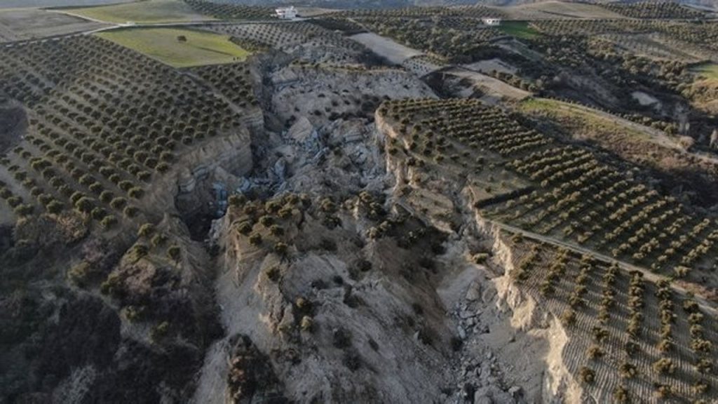 Deprem bölgesinde zeytinliklere konut projesi