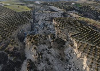 Deprem bölgesinde zeytinliklere konut projesi