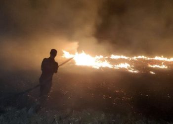 Diyarbakır'da anız yangınında 3 bin dönüm arazi zarar gördü