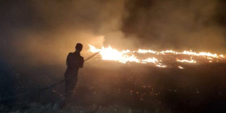 Diyarbakır'da anız yangınında 3 bin dönüm arazi zarar gördü