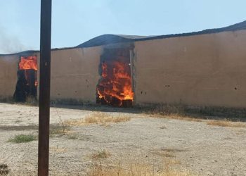 Diyarbakır'da yangın: 1000 ton pamuk kül oldu