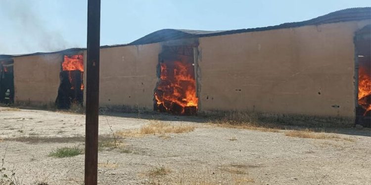 Diyarbakır'da yangın: 1000 ton pamuk kül oldu