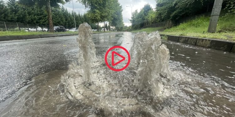 Düzce'de sağanak yağış ve dolu: Yıldırım ağaç devirdi, araçlar zarar gördü