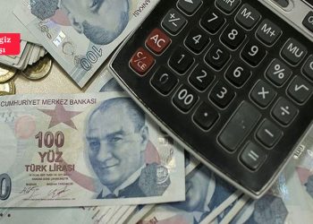 Ekonomistlerden memur maaşı yorumu: Asgari ücret gibi iki ay dayanabilecek