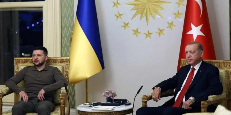 Erdoğan: Ukrayna NATO'ya üyeliği hak ediyor