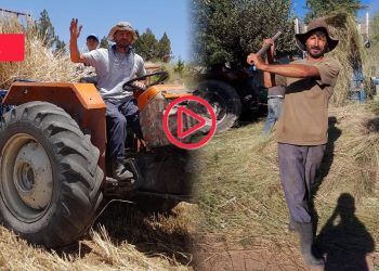 Erdoğan'a destek isteyen çiftçi zamlara isyan etti: Ocağımıza incir ağacı diktin