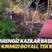 Esrarengiz kazılar başladı: Yine kırmızı boyalı, tek katlı