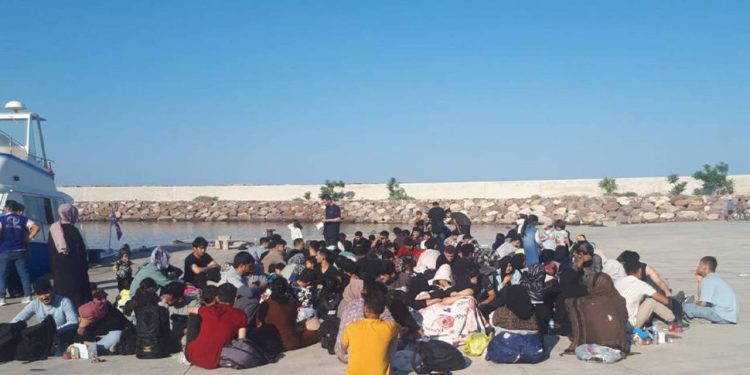 Göç İdaresi: Göçmen sayısı 4 milyon 893 bin 752