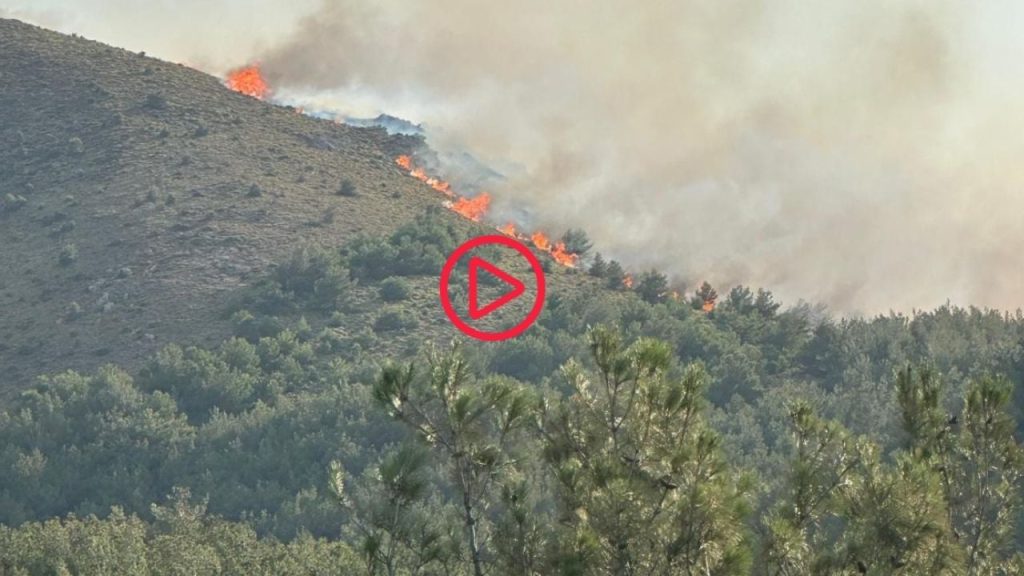 Gökçeada'da orman yangını: Rüzgarın etkisiyle büyüdü