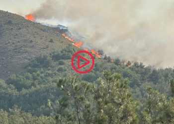 Gökçeada'da orman yangını: Rüzgarın etkisiyle büyüdü