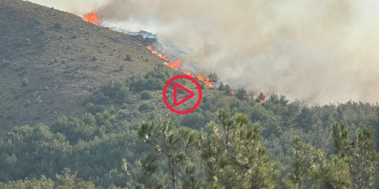 Gökçeada'da orman yangını: Rüzgarın etkisiyle büyüdü