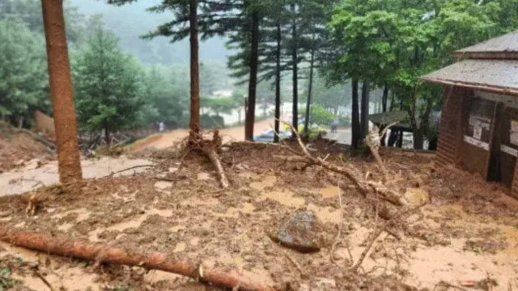 Güney Kore'de şiddetli yağış: 21 kişi öldü