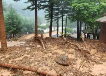 Güney Kore'de şiddetli yağış: 21 kişi öldü