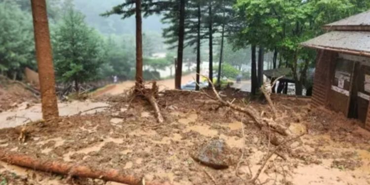 Güney Kore'de şiddetli yağış: 21 kişi öldü