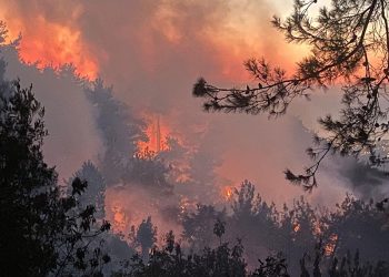 Hatay Belen’deki orman yangını kontrol altına alındı