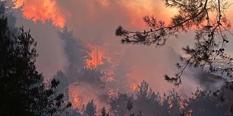 Hatay Belen’deki orman yangını kontrol altına alındı