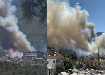 Hatay'da çıkan orman yangınına müdahale sürüyor