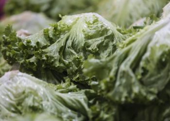 Haziran ayının zam şampiyonu kıvırcık salata oldu