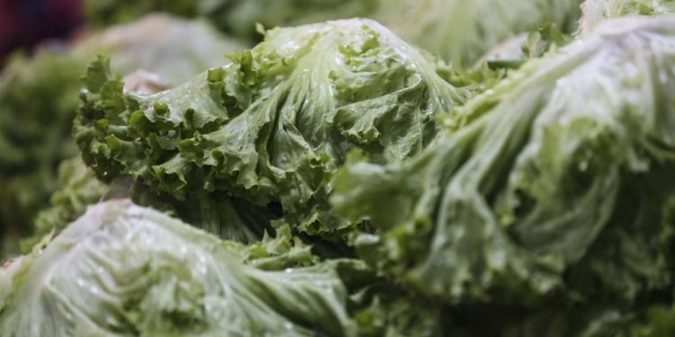 Haziran ayının zam şampiyonu kıvırcık salata oldu