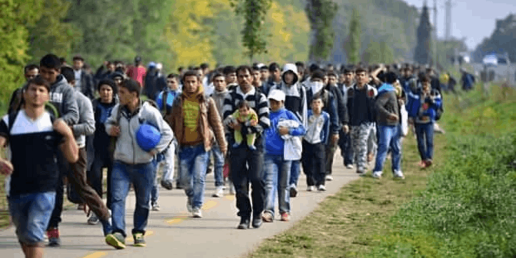 Hükümete yakın yazardan göç değerlendirmesi: "Yakın gelecekte Avrupa nüfusunun önemli bir kısmı Müslüman olacak"