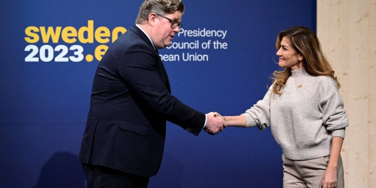 Hükümetin düştüğü Hollanda'da Kürt siyasetçi Dilan Yeşilgöz parti liderliğine aday