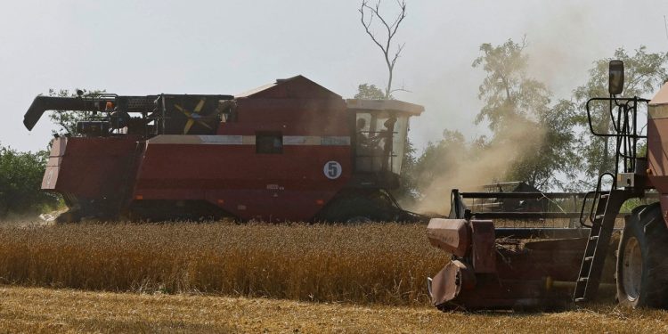 İddia: Tahıl anlaşması için Putin'e SWIFT teklifi yapıldı