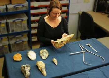 İngiltere'de en az 300 bin yıllık 'dev' el baltaları bulundu