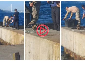 İstanbul Boğazı'ndan patlamamış mayın çıkarıldı