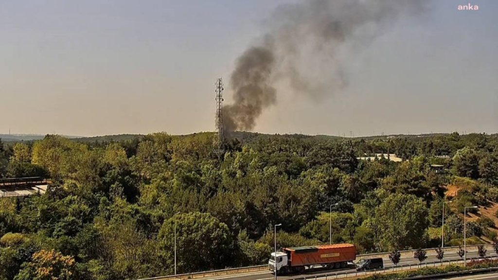 İstanbul'da, askeri kışladaki ormanlık alanda yangın