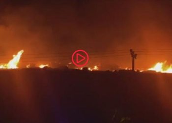 İzmir Çeşme'de orman yangını: Çok sayıda ekip sevk edildi