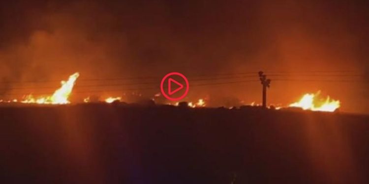 İzmir Çeşme'de orman yangını: Çok sayıda ekip sevk edildi