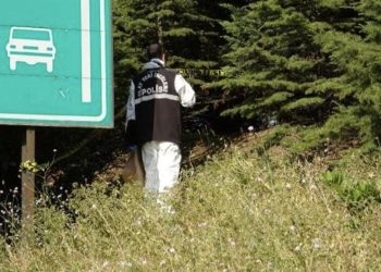 İzmit'te, TEM'in kenarındaki yeşillikte ceset bulundu