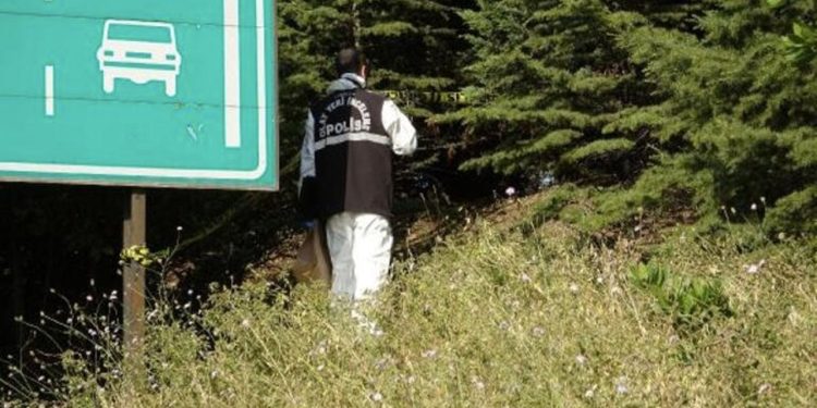İzmit'te, TEM'in kenarındaki yeşillikte ceset bulundu
