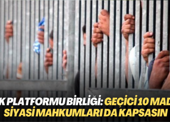 KHK Platformu Birliği: Geçici 10 Madde siyasi mahkumları da kapsasın