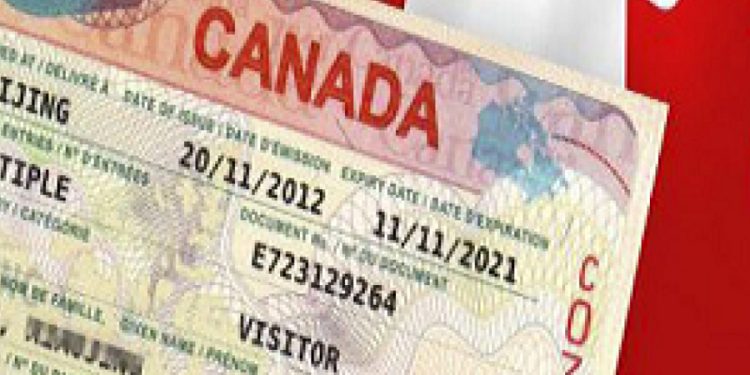 Kanada göçmen kabul edeceğini duyurmuştu: Vize başvurusunda rekor artış
