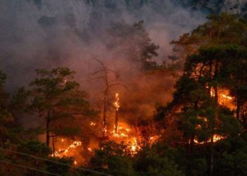 Kemer’deki orman yangını 4 gündür kontrol altına alınamadı