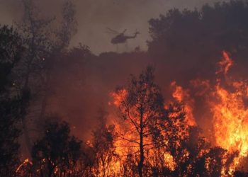 Korfu Adası'nda orman yangını: 12 yerleşim birimi boşaltıldı